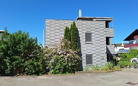 Apartment Rheintal Im Alpenvorland