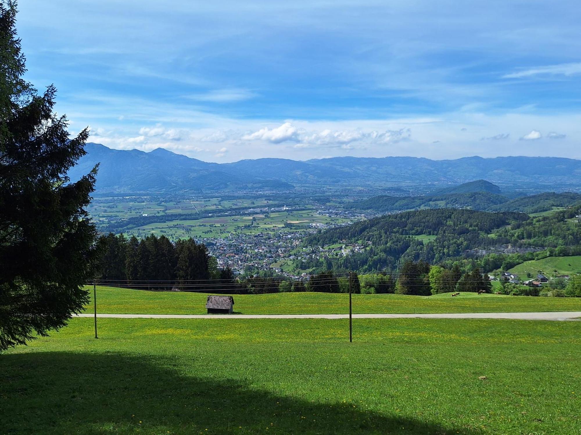 Apartment Rheintal Im Alpenvorland Batschuns Exterior foto