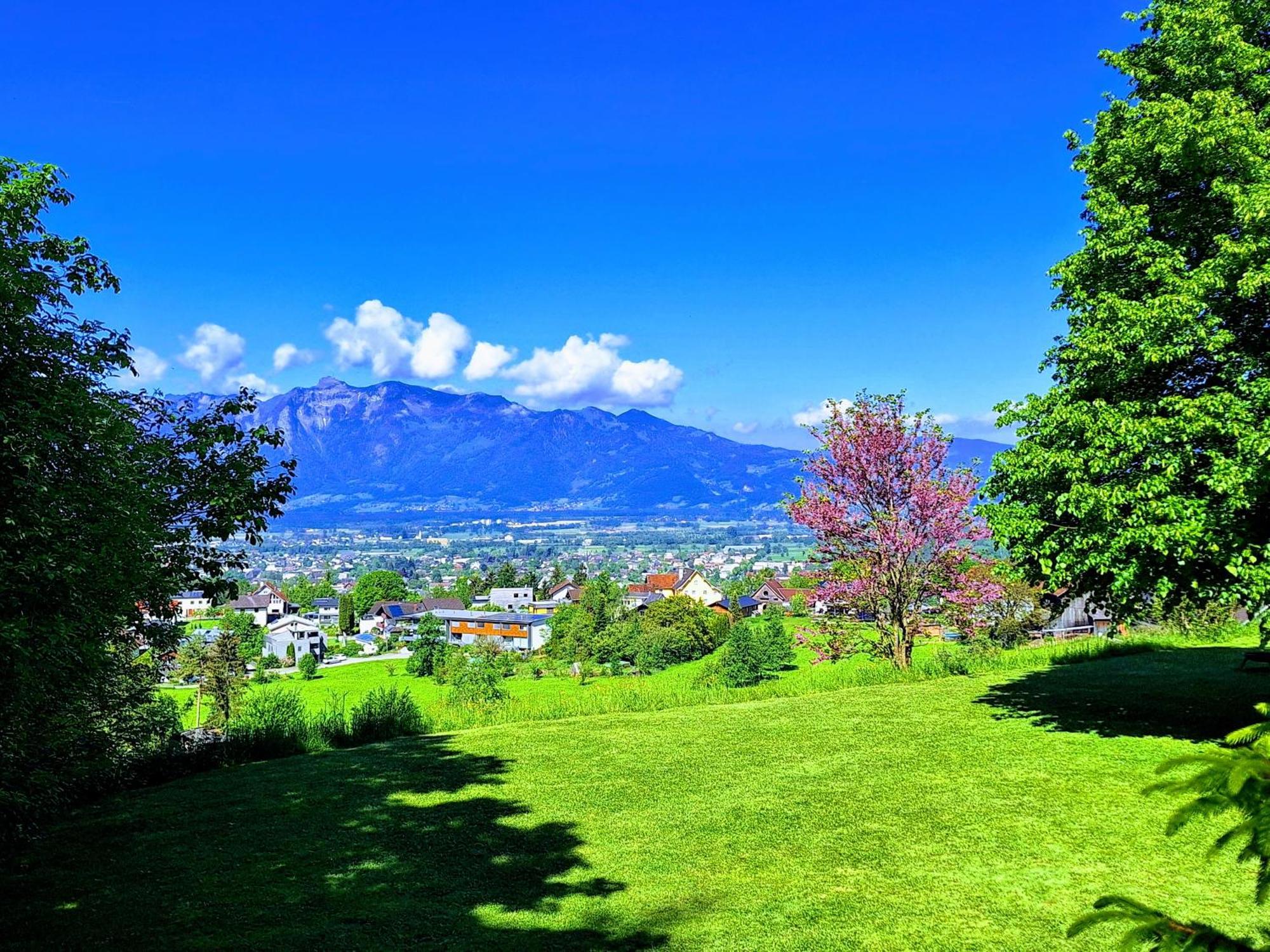 Apartment Rheintal Im Alpenvorland Batschuns Exterior foto