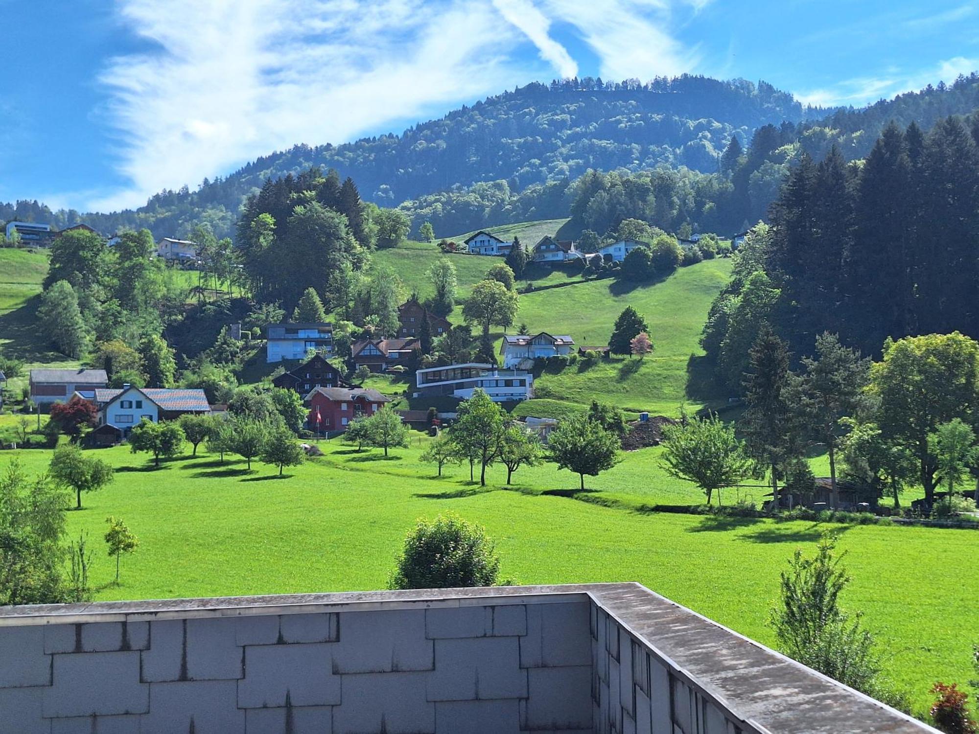 Apartment Rheintal Im Alpenvorland Batschuns Exterior foto
